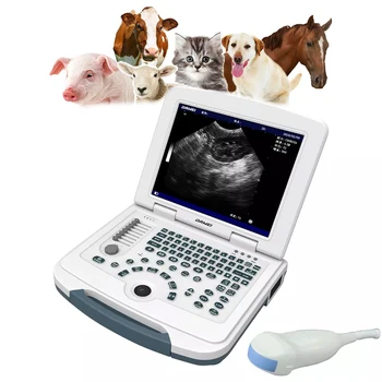 Veterinária Instrumento Digital Portátil Veterinária Máquina de ultra-som Portátil para Diagnóstico de Saúde Animal